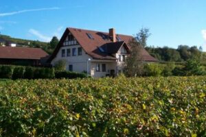 Ferienwohnung Göring & Bohny Vogtsburg