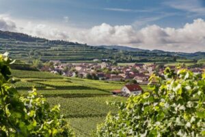 Ferienwohnung Winzerhof Weber Vogtsburg